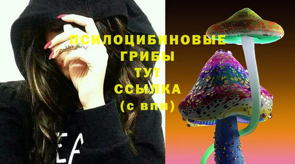 jwh Магас